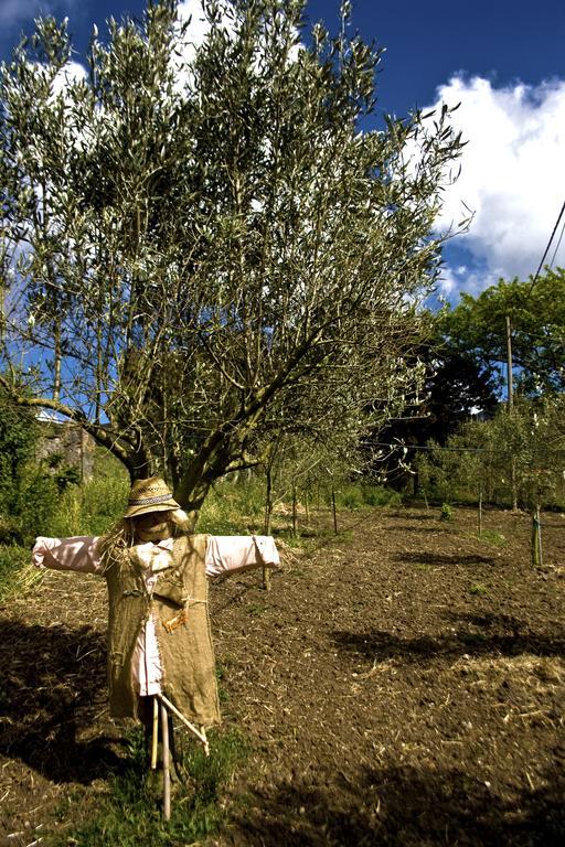 Agriturismo Satanca Villa Arbus Ngoại thất bức ảnh
