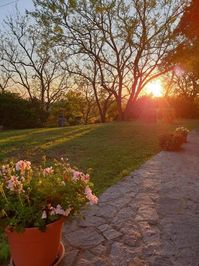 Agriturismo Satanca Villa Arbus Ngoại thất bức ảnh